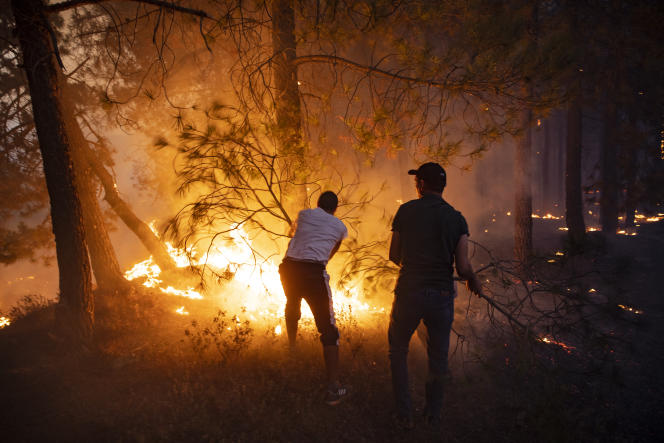 Taounate : Un mort parmi les volontaires pour circonscrire un incendie de forêt